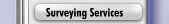 Surveying Services